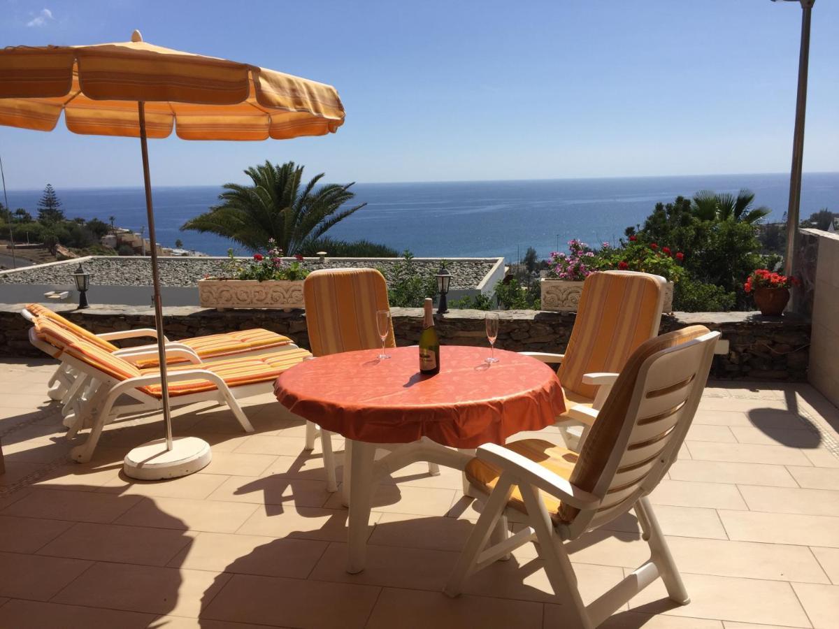 Hibiscus * San Agustin (Gran Canaria)