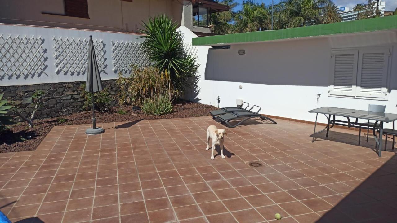 Fantastica Vivienda En Playa De Con Piscina Сasa de vacaciones San Agustín