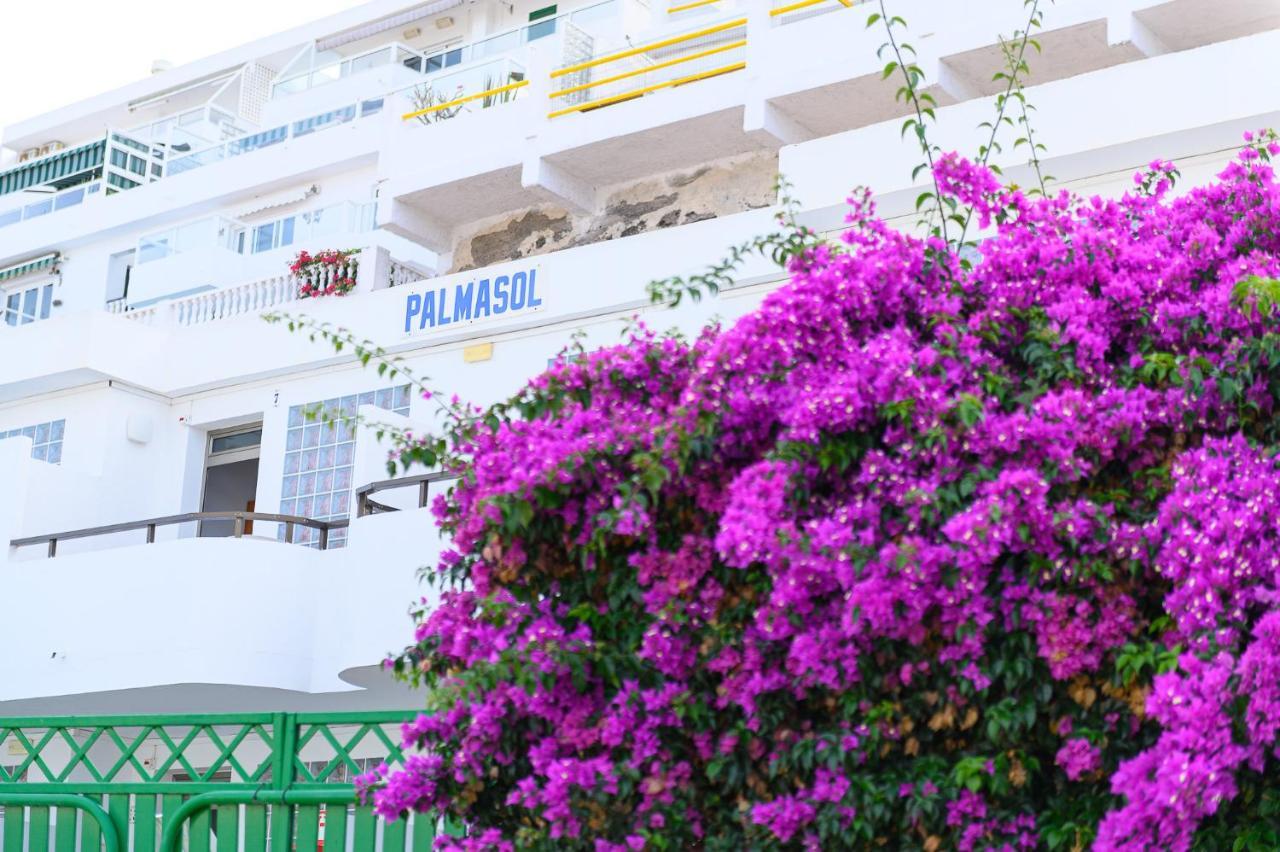 Palmasol