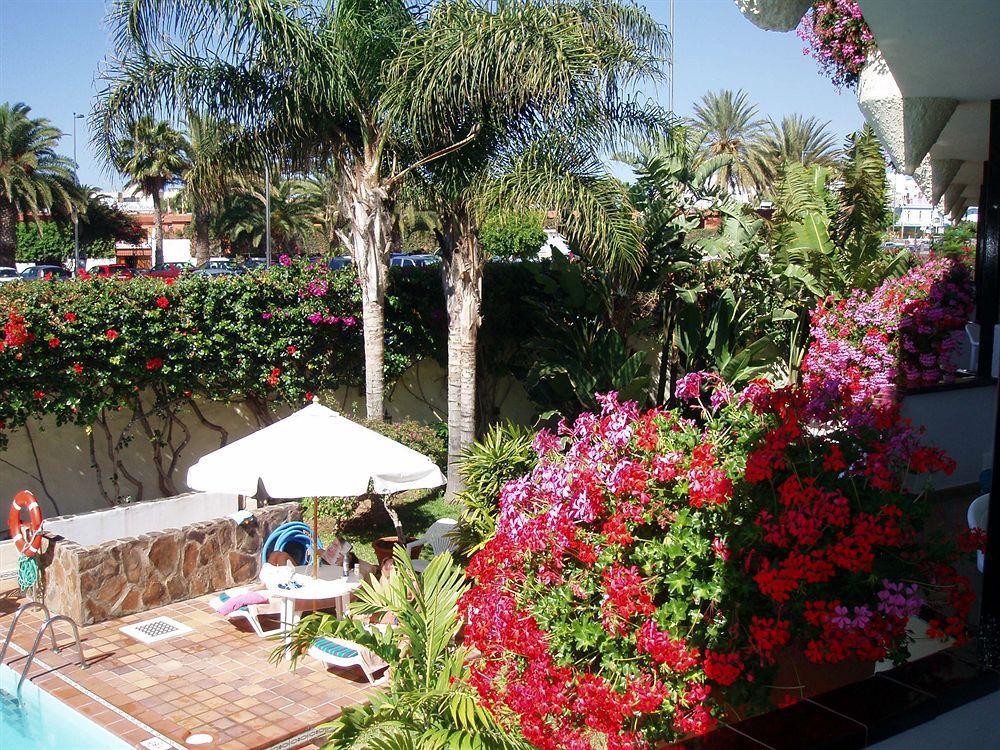 Alsol Nogal (adults Only) Playa del Inglés