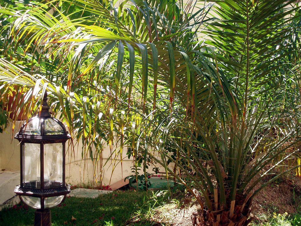 Alsol Nogal (adults Only) Apartment