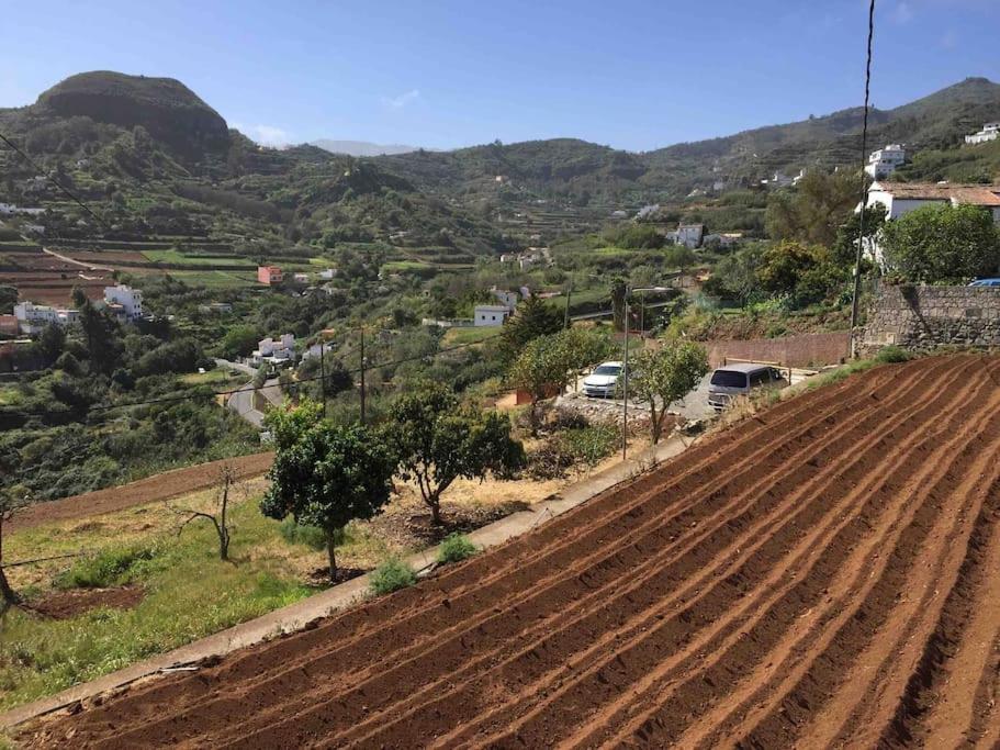 La Casa De Arriba, Tradicional Countryside In Teror, Gran Canaria * Teror