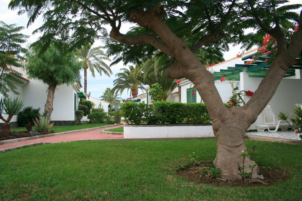 Campo Golf 2* Maspalomas (Gran Canaria)