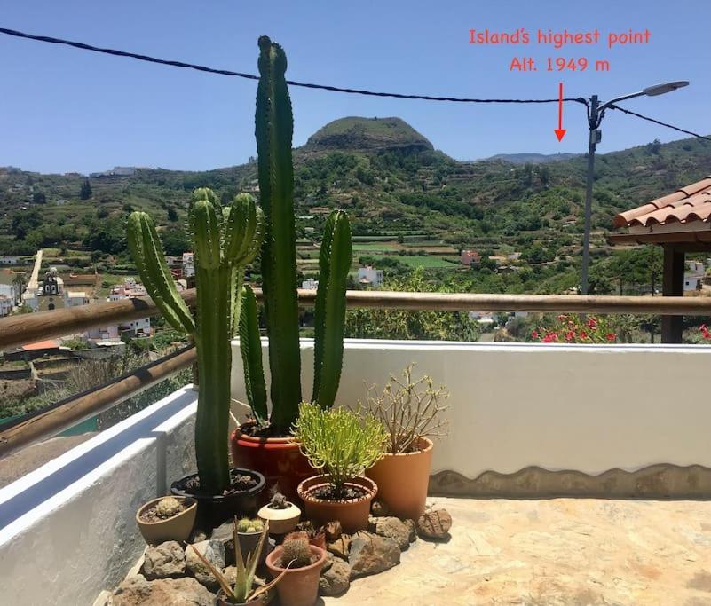 La Casa De Arriba, Tradicional Countryside In Teror, Gran Canaria Сasa de vacaciones *