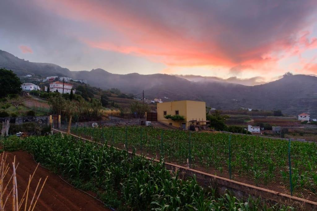 La Casa De Arriba, Tradicional Countryside In Teror, Gran Canaria * Teror