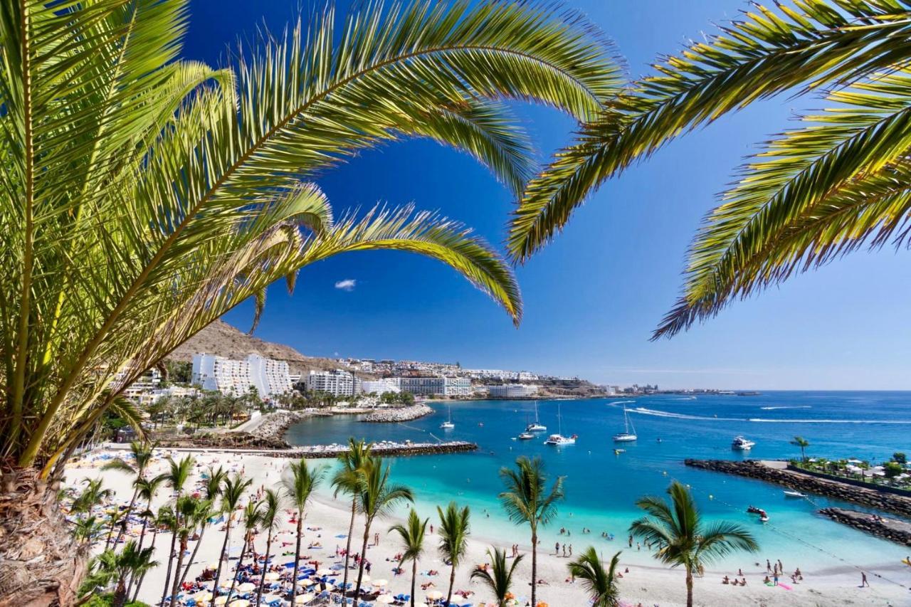 Apartment Seaview Oasis: Puerto Rico With Pool And Parking Puerto Rico (Gran Canaria)