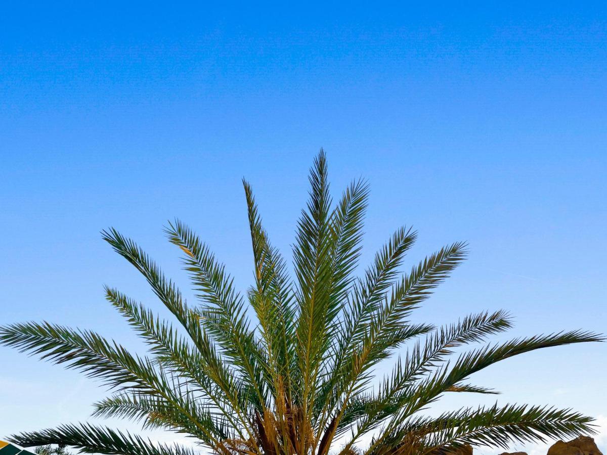 Parque Raquel * Puerto Rico (Gran Canaria)