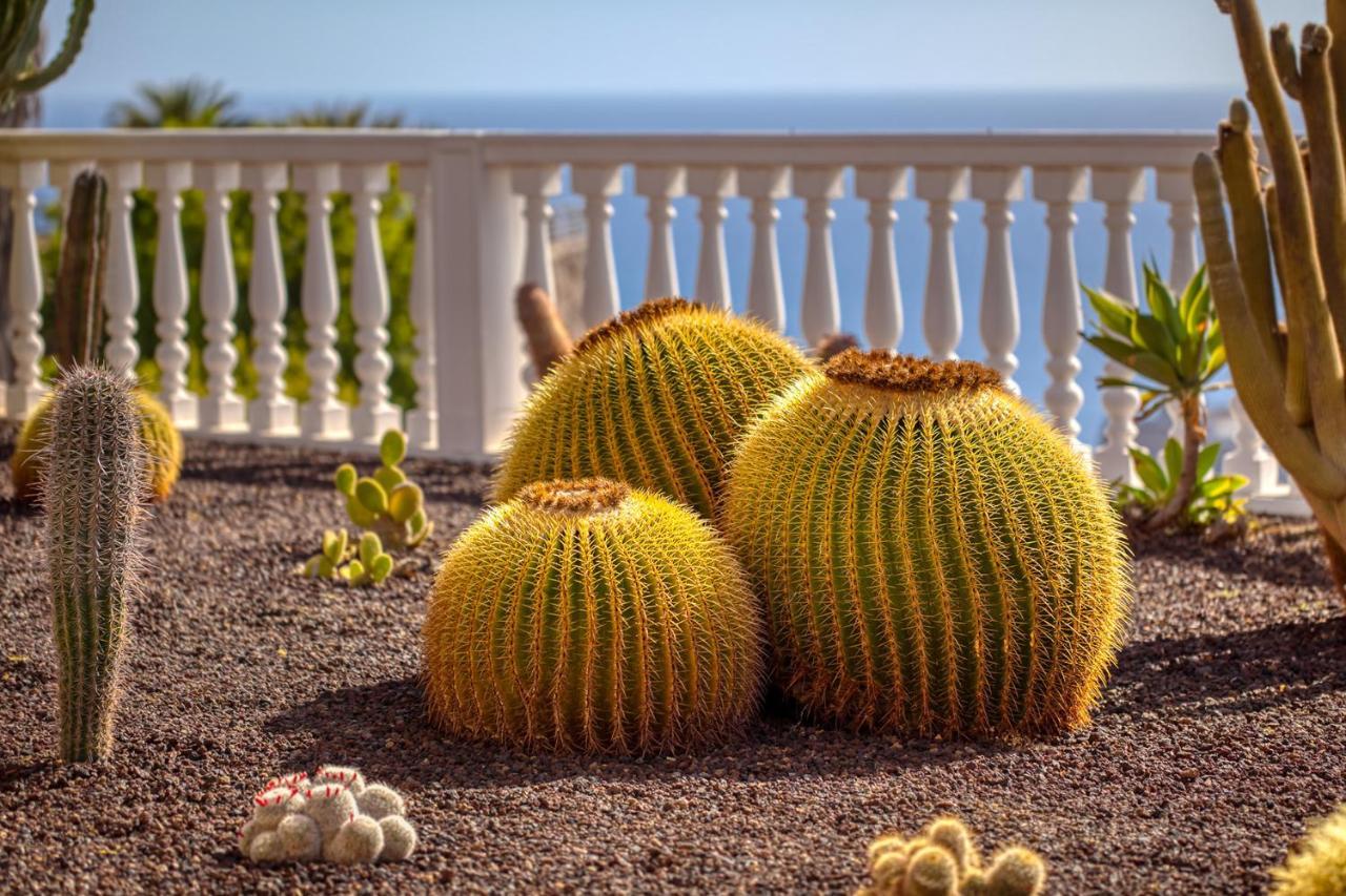 Stunning With Breathtaking Ocean View Mogán