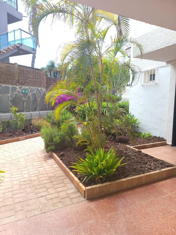 Lovers From In Sunny Gran Canaria Appartement