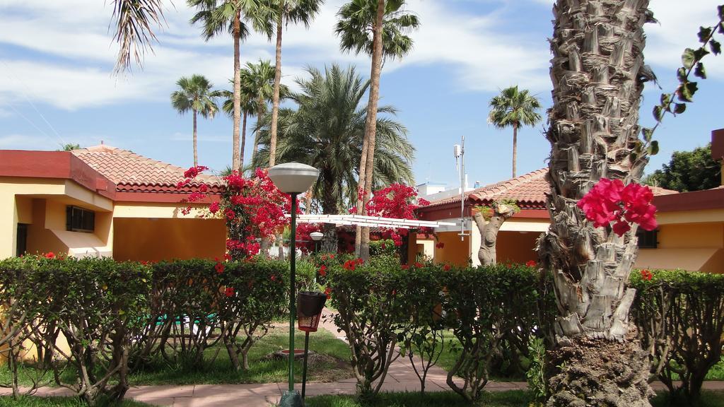 Apartment Gay Artemisa - Men Only Playa del Ingles (Gran Canaria)