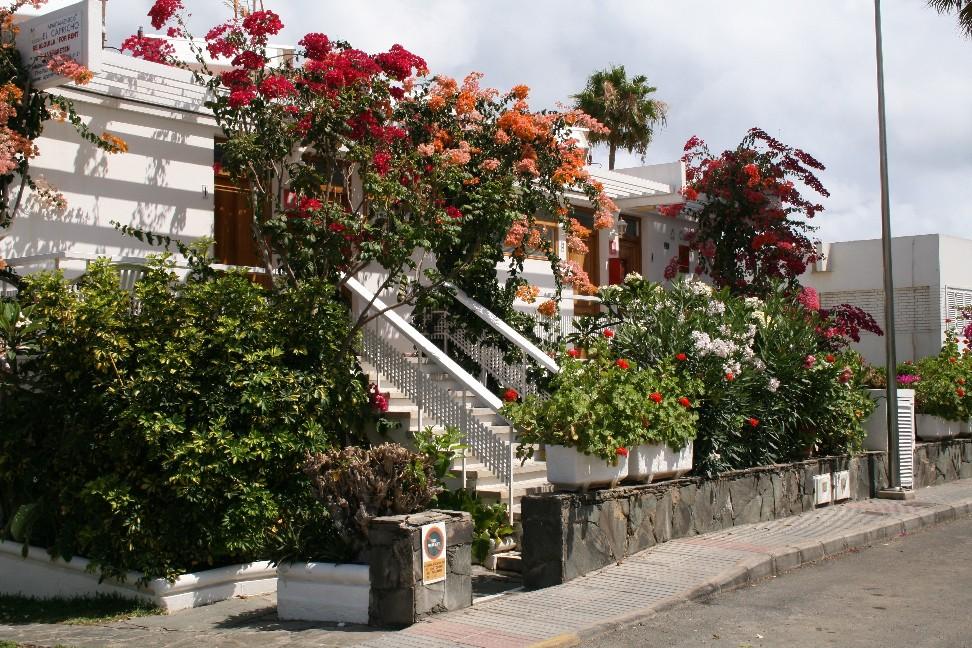 El Capricho Apartamento Maspalomas (Gran Canaria)