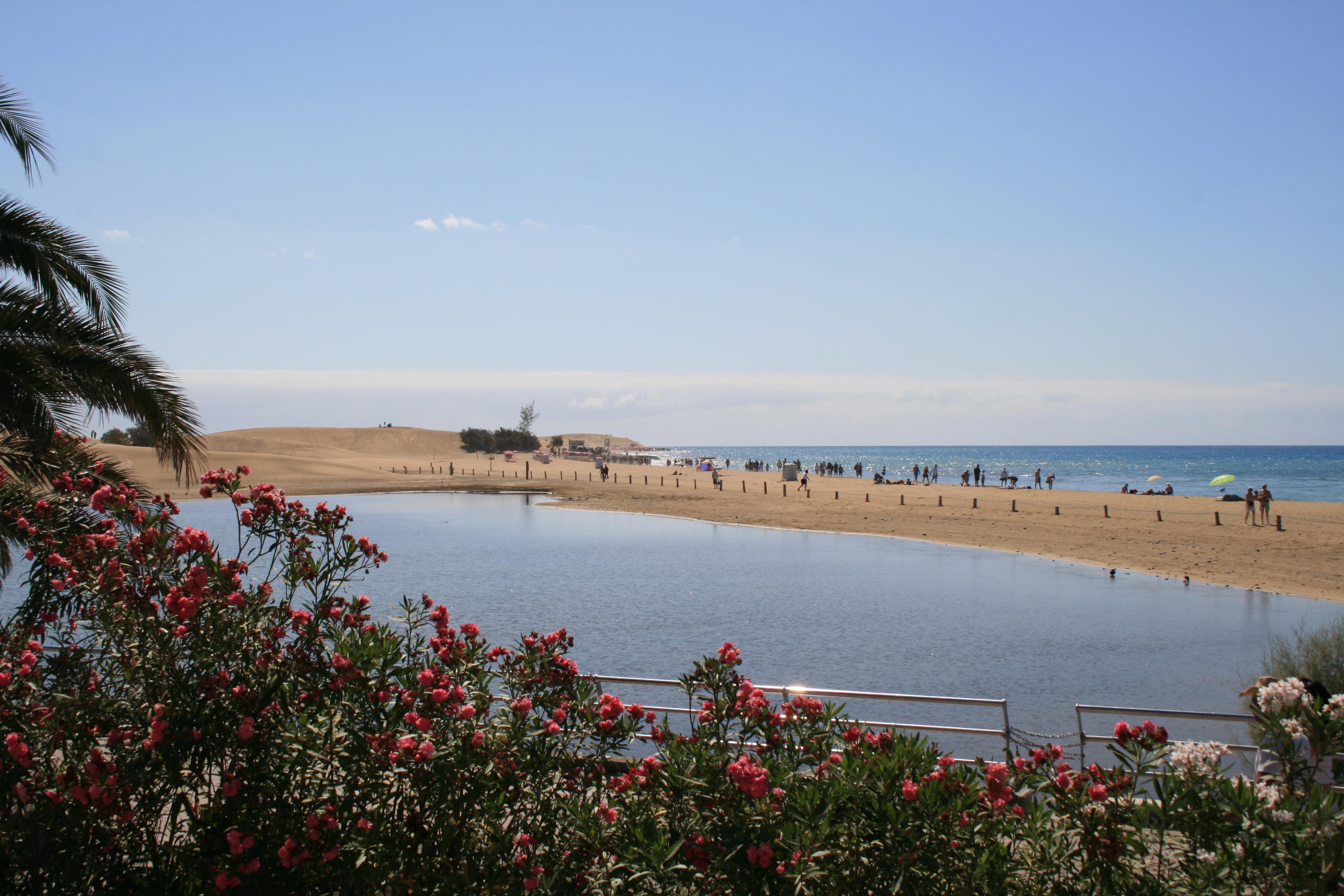 El Capricho Apartamento Maspalomas (Gran Canaria)