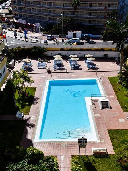 Camelias Apartment *