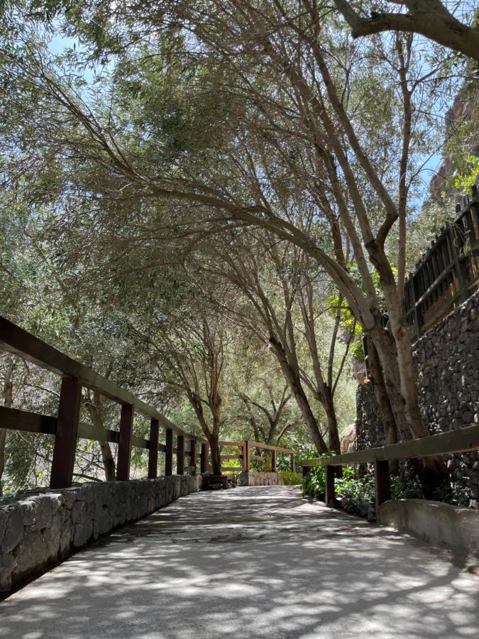 Guayadeque Ca'juani Casa rural