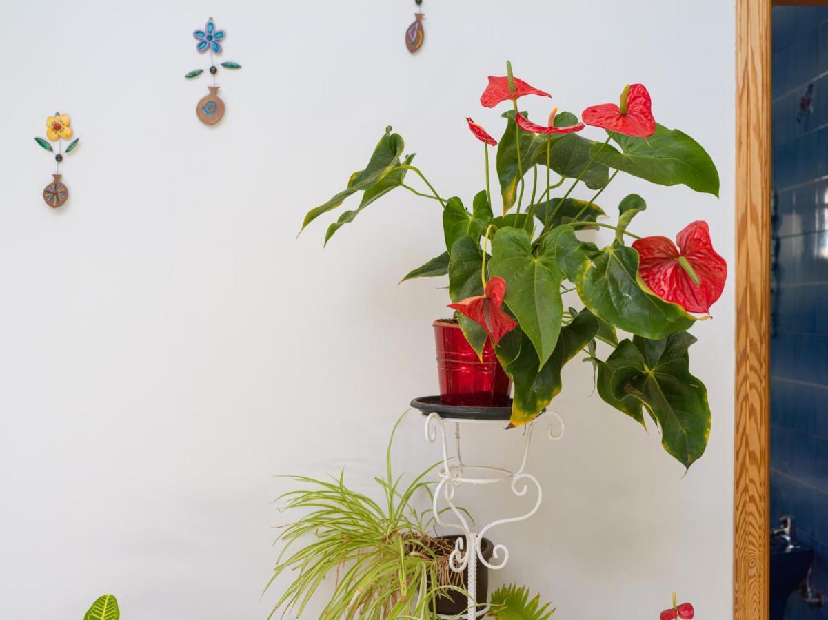 Chalet Agaete Pupe By Canariasgetaway Agaete (Gran Canaria)