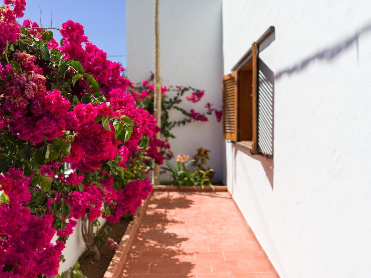 Chalet Agaete Pupe By Canariasgetaway Agaete (Gran Canaria)
