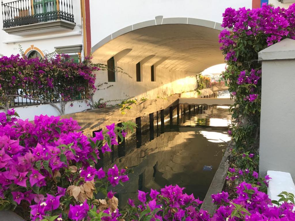 Appartement El Cercado