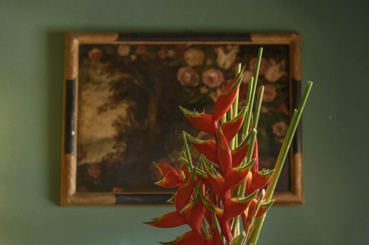 Guest house Rural Longueras Agaete (Gran Canaria)