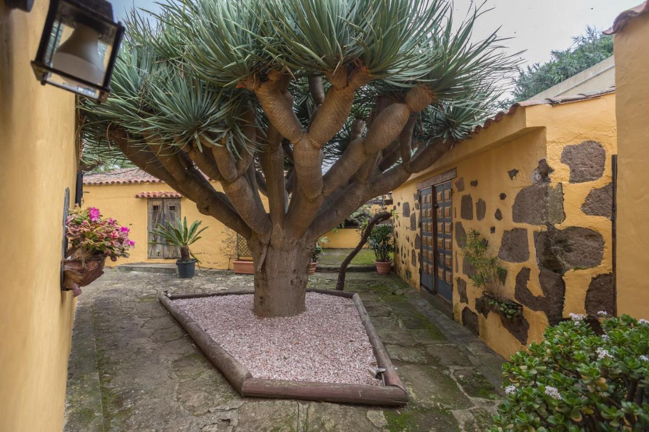Paredones Farm - Private Pool - Garden * Santa Maria de Guia de Gran Canaria