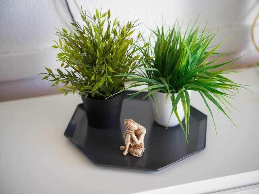 Marlenghi 818 Appartement