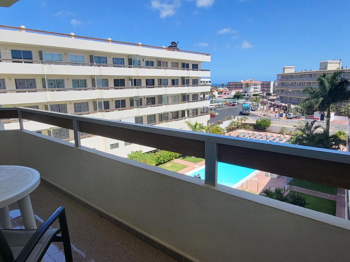 Camelias Playa del Inglés