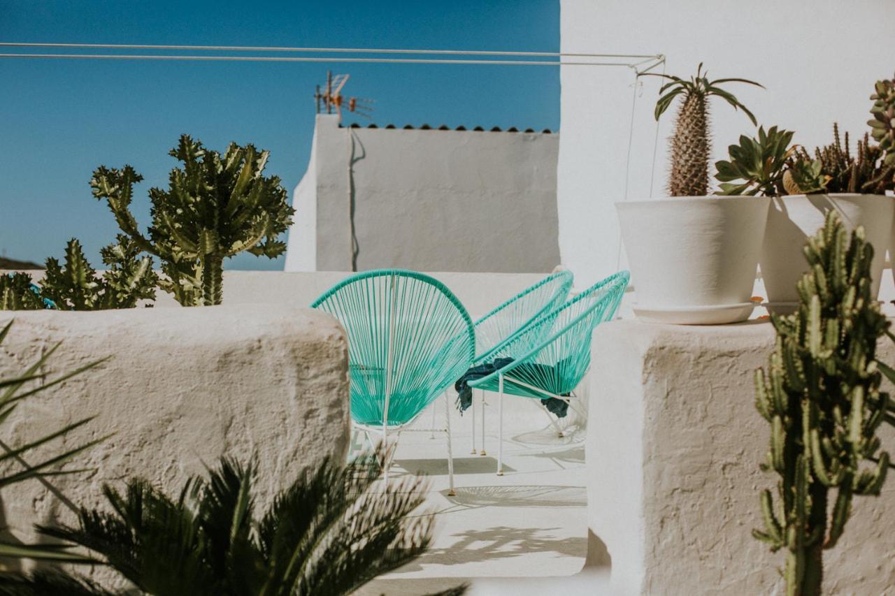 Cool Canaria *