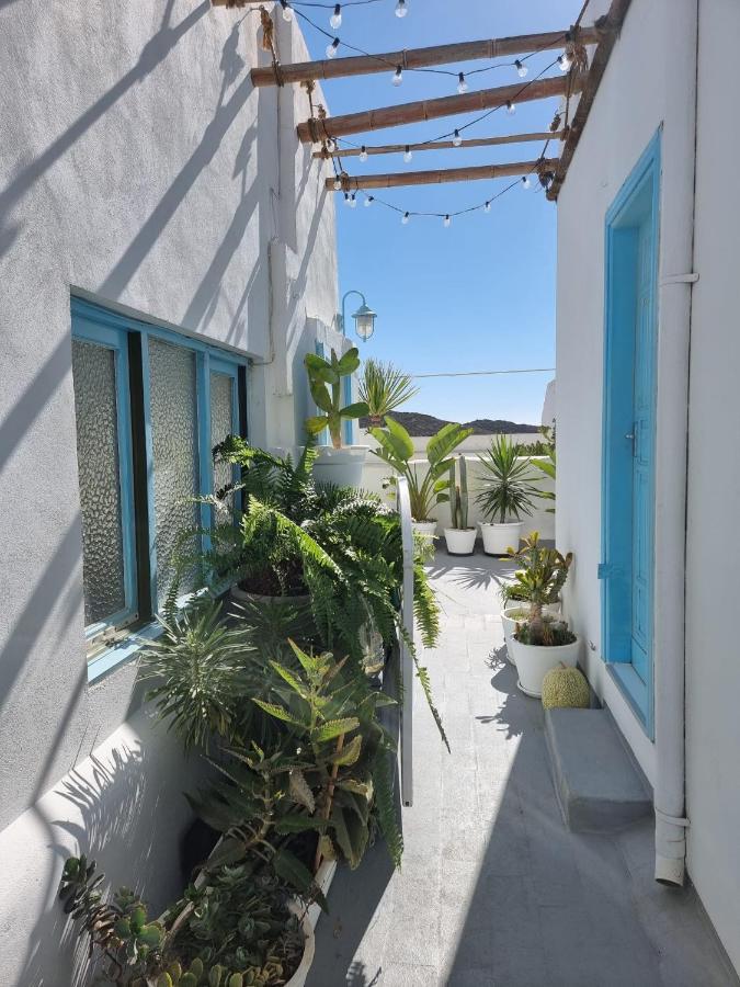 Cool Canaria * Agaete (Gran Canaria)