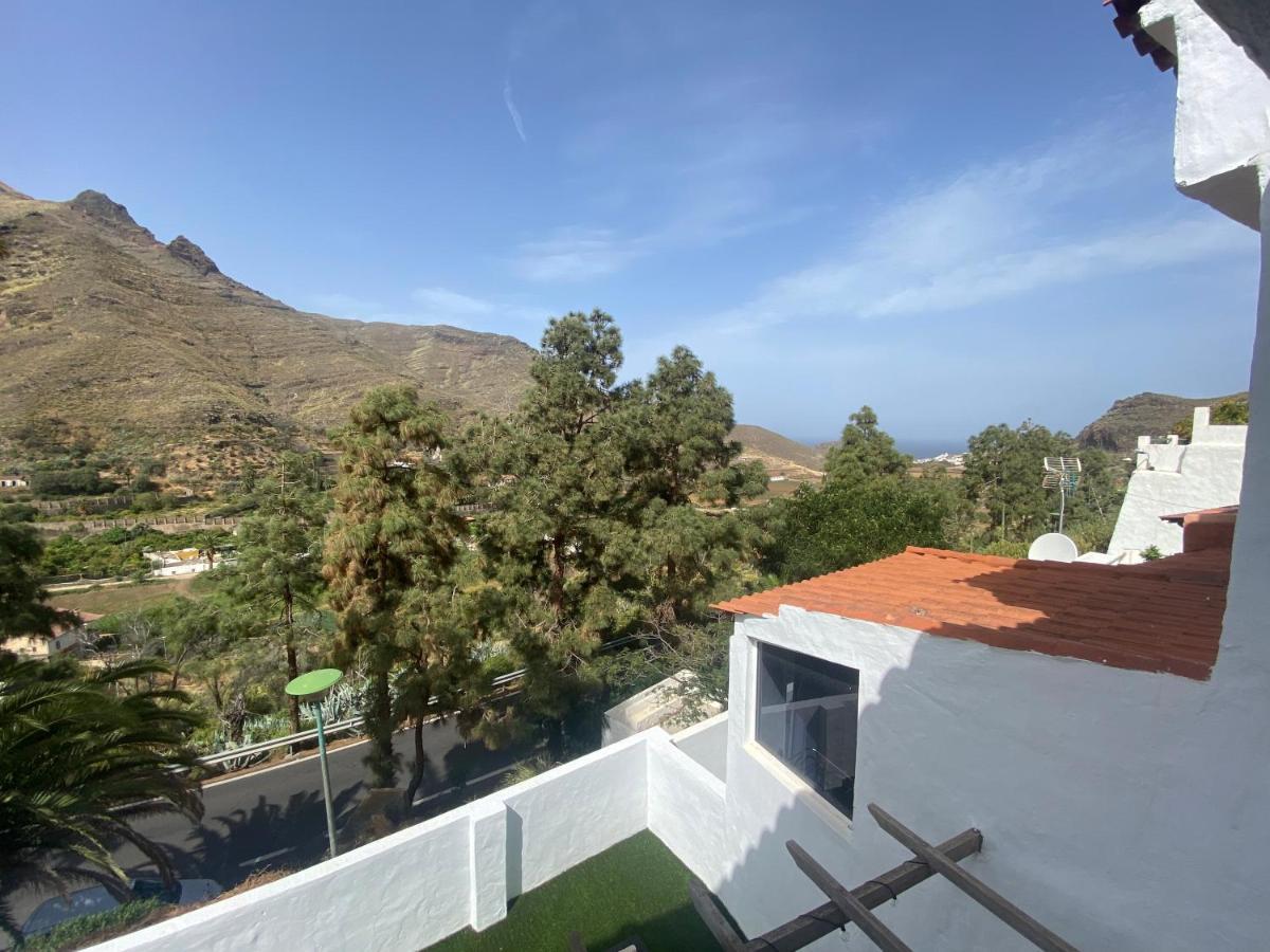 La Rama Del Drago, Agaete * San Pedro (Gran Canaria)