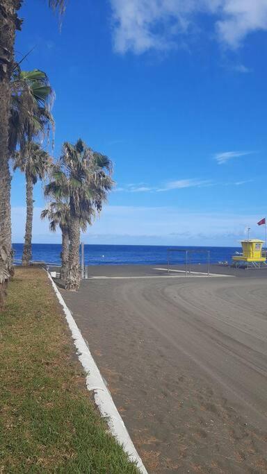 Apartment Palmeras In Playa -