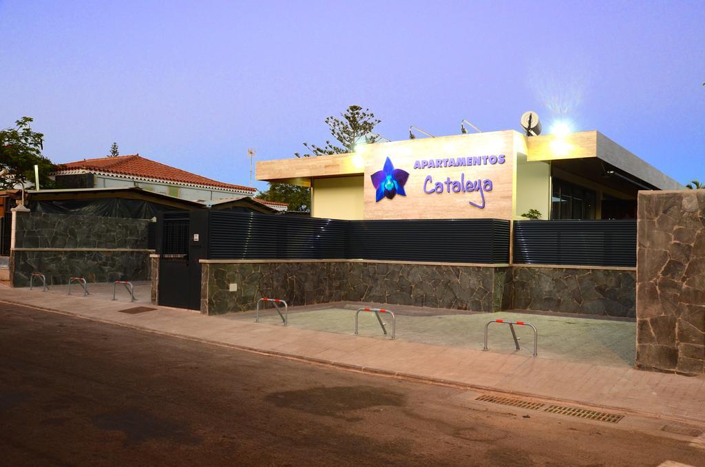 Apartamento La Cataleya *
