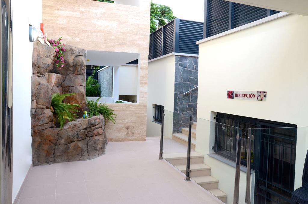 Apartamento La Cataleya