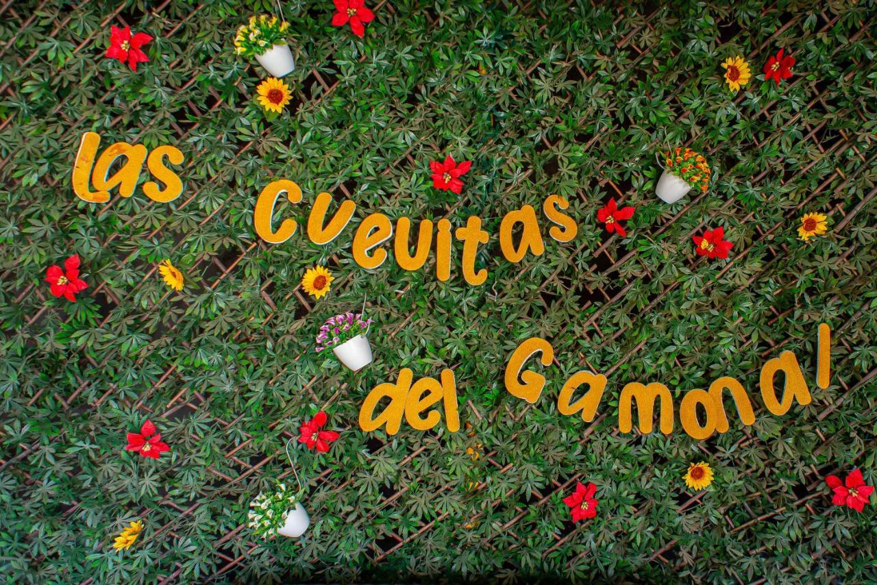 Cuevitas Del Gamonal Ferienhaus Santa Brígida