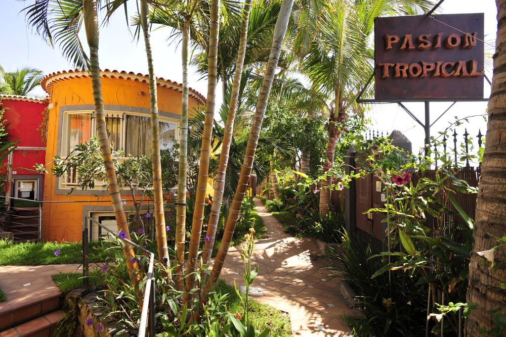 Pasion Tropical - Gay Only Resort (Adults Only) 3*
