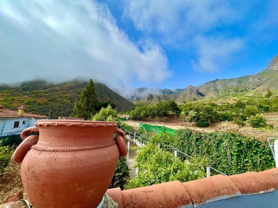 Tenteniguada Enjoy Nature * Las Palmas de Gran Canaria