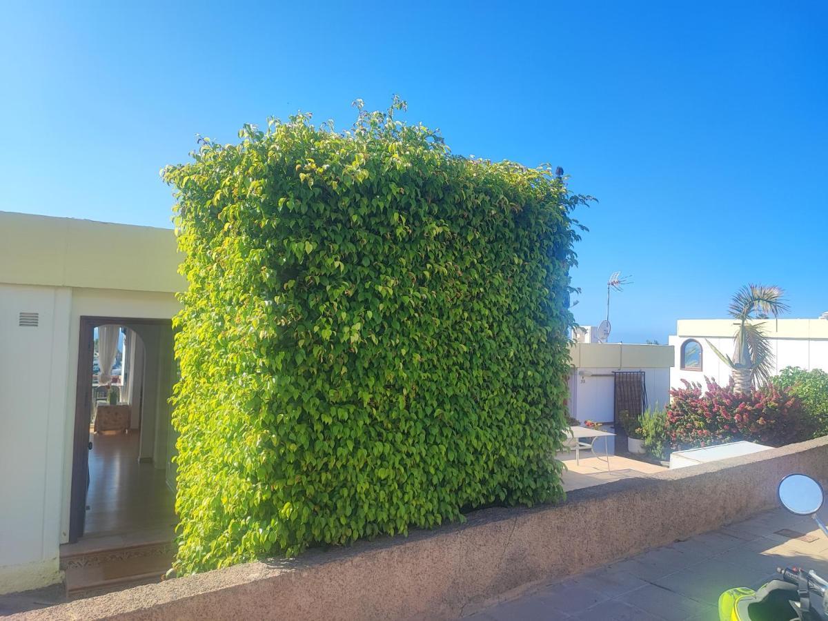 Casa Panorama 314 Maspalomas Apartamento San Agustín