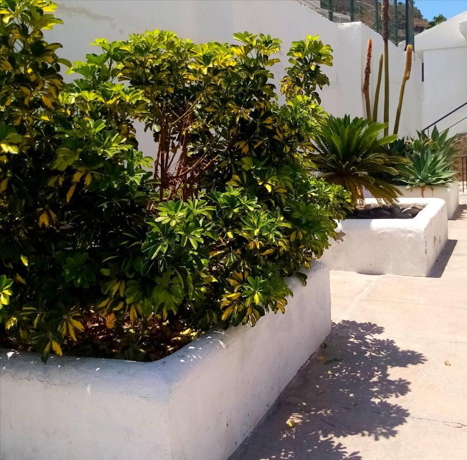 Sunny Days On Gran Canaria Puerto Rico (Gran Canaria)