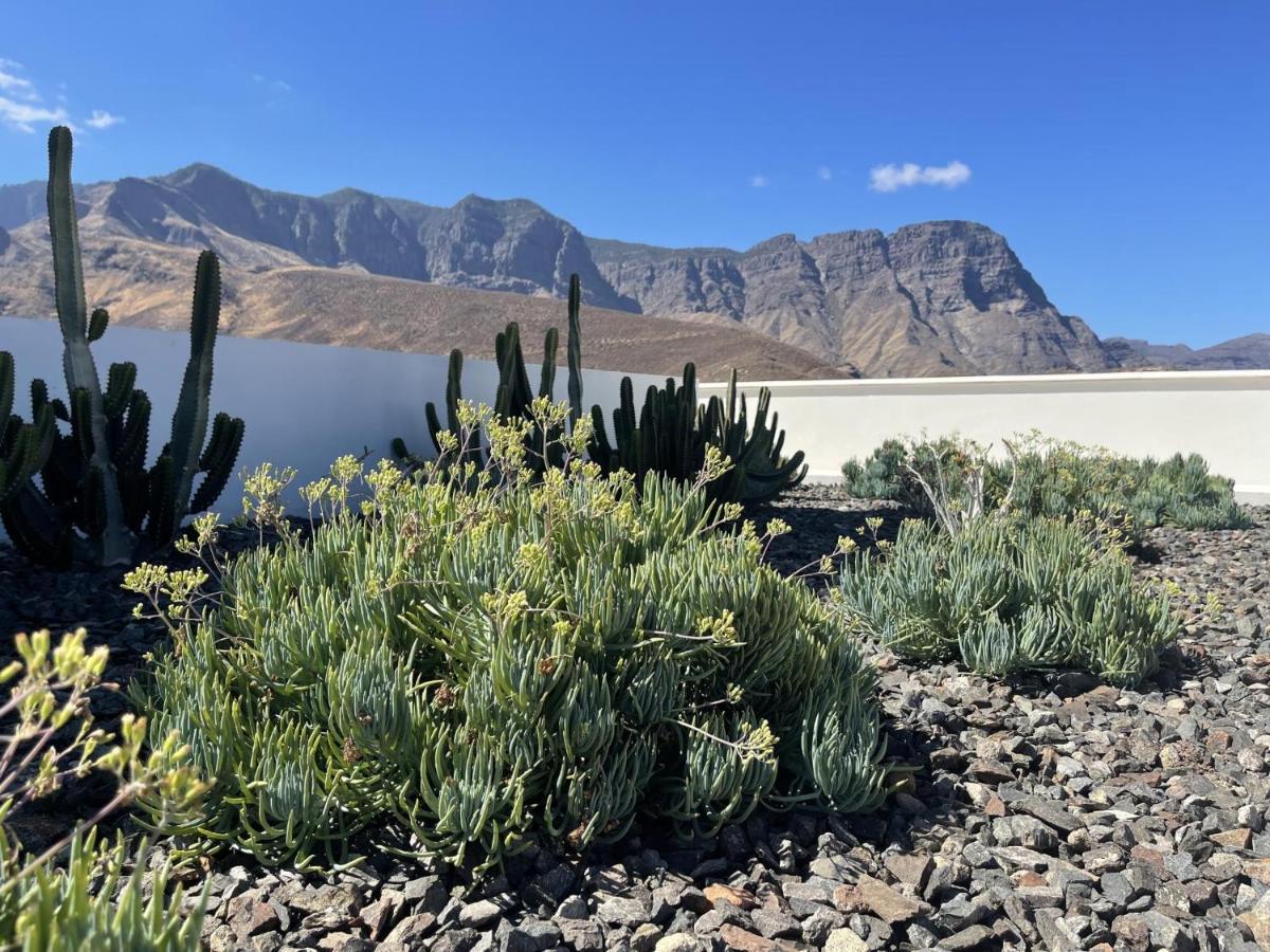 Vivelorural Agaete 2d Infinity Pool & Great Views Agaete (Gran Canaria)
