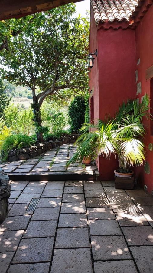 Casa Completa Con Piscina Privada El Roble Moya (Gran Canaria)