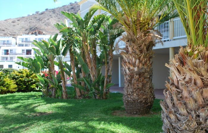 Natural Park Appartement Puerto Rico (Gran Canaria)