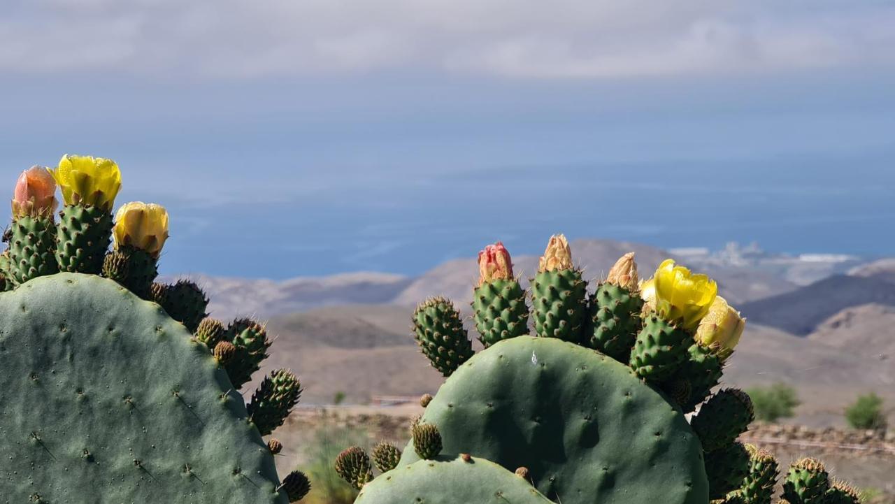 Puerto Rico Teide And Amadores View *