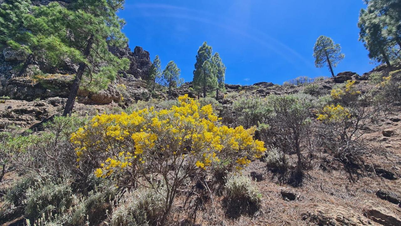 Puerto Rico Teide And Amadores View Apartamento