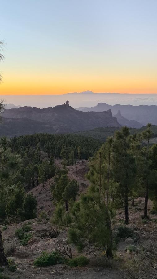 Apartamento Puerto Rico Teide And Amadores View *