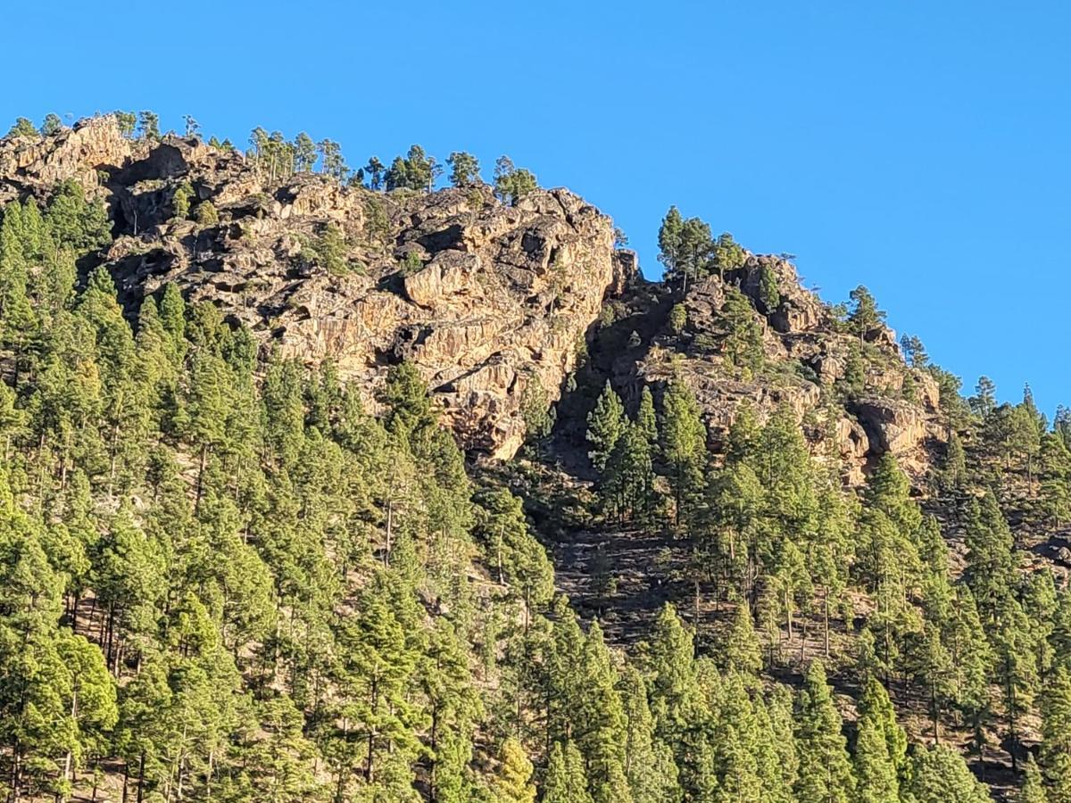 Ferienhaus Pinares El Juncal De