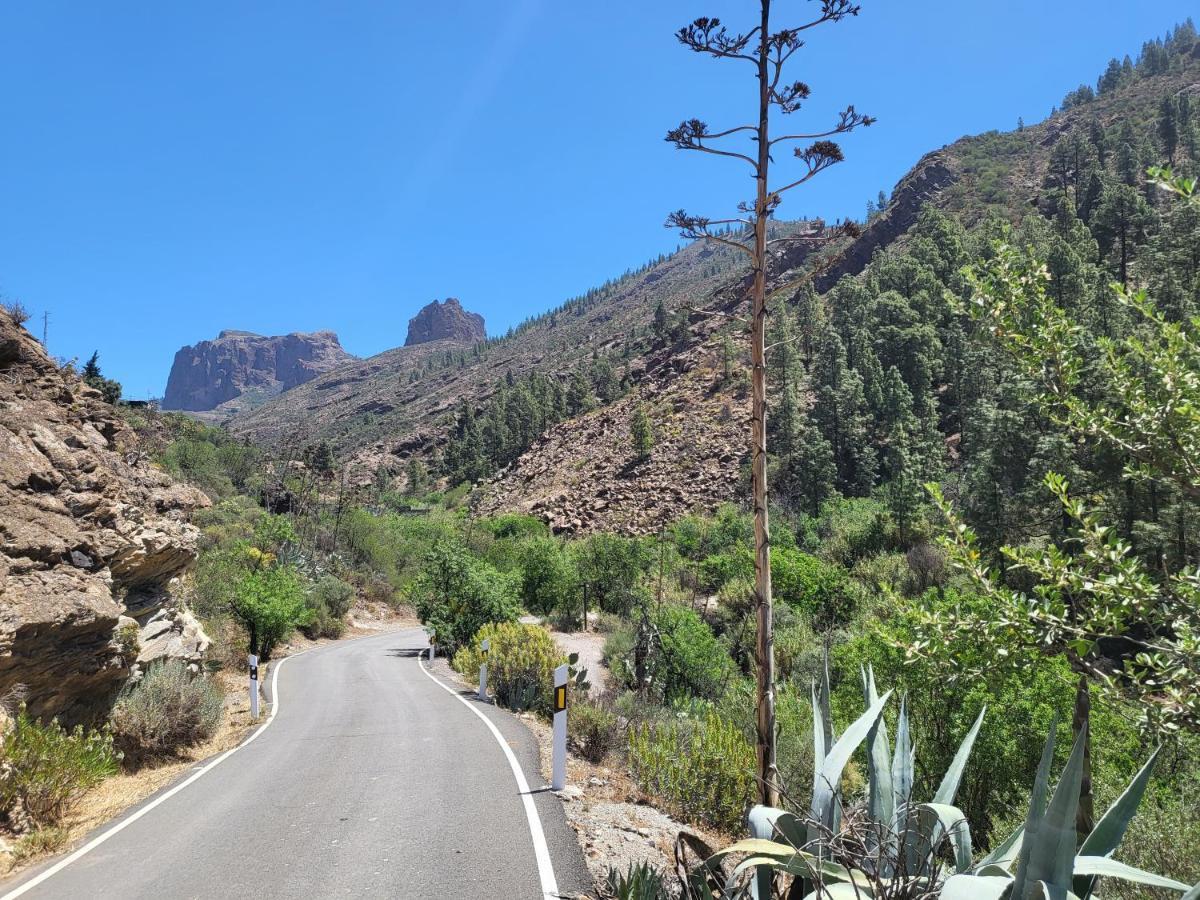 Pinares El Juncal De Ferienhaus Tejeda (Gran Canaria)