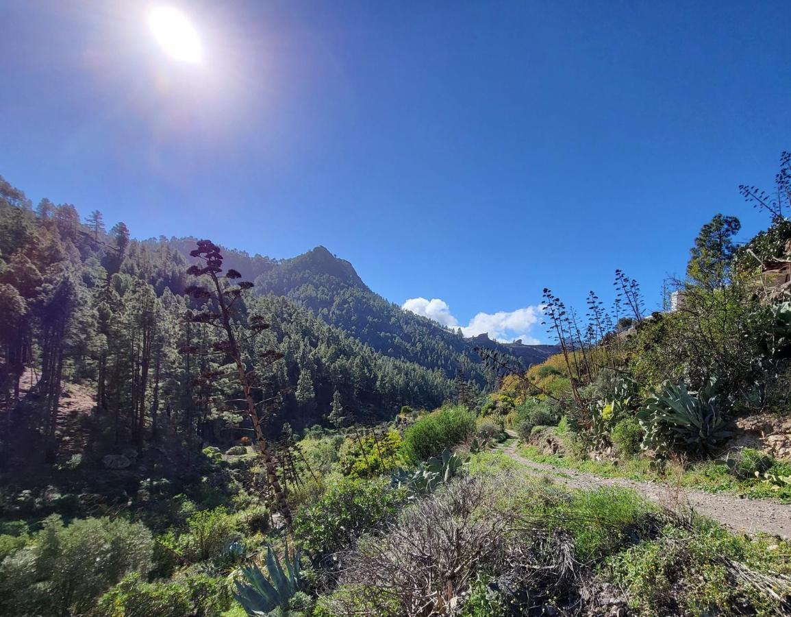 Pinares El Juncal De *