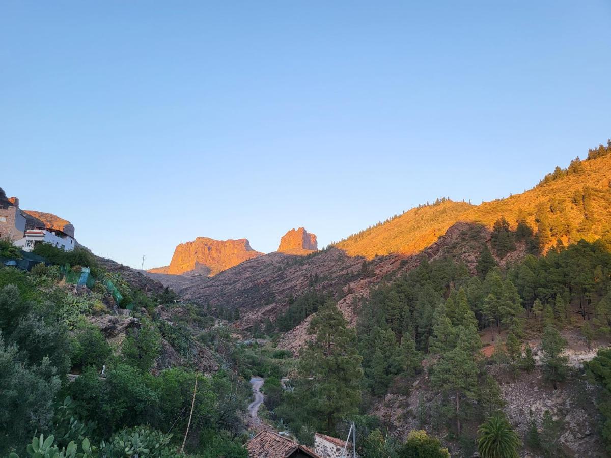 Pinares El Juncal De Tejeda (Gran Canaria)