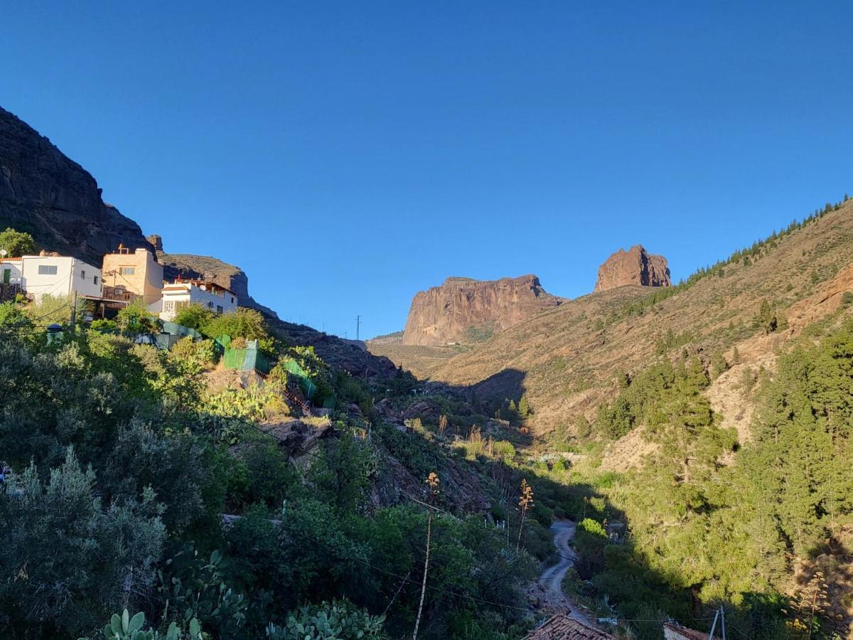 Pinares El Juncal De *