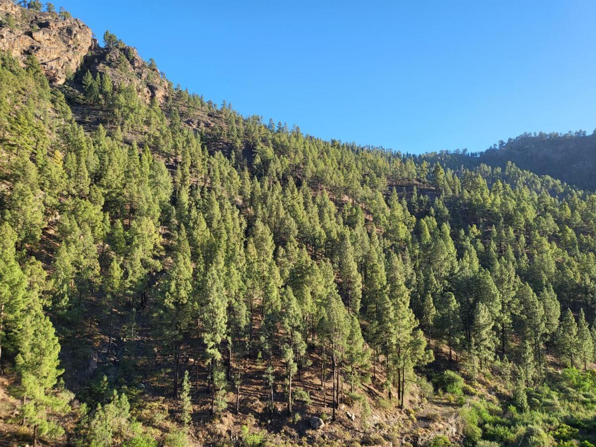 Pinares El Juncal De Ferienhaus *