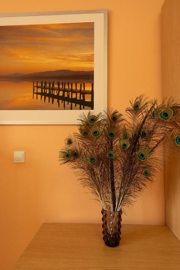 Mirador Canteras-auditorio Apartment *
