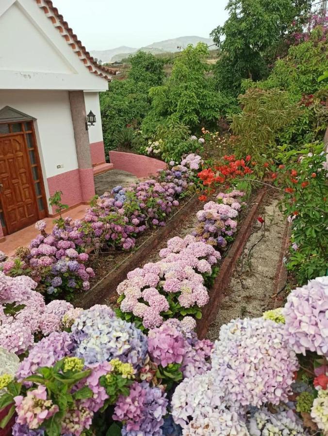 Holiday home Mar De Flores